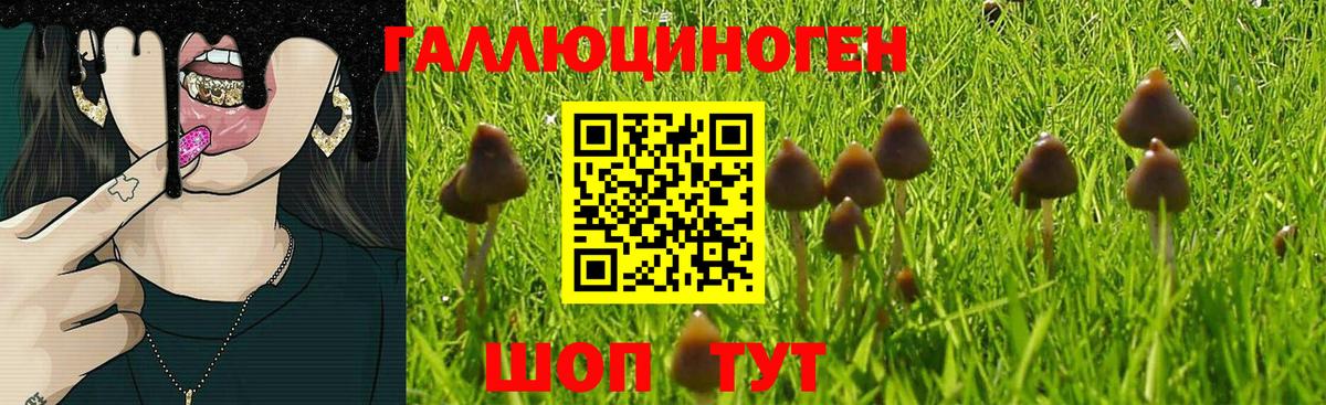 Псилоцибиновые грибы мухоморы Нальчик